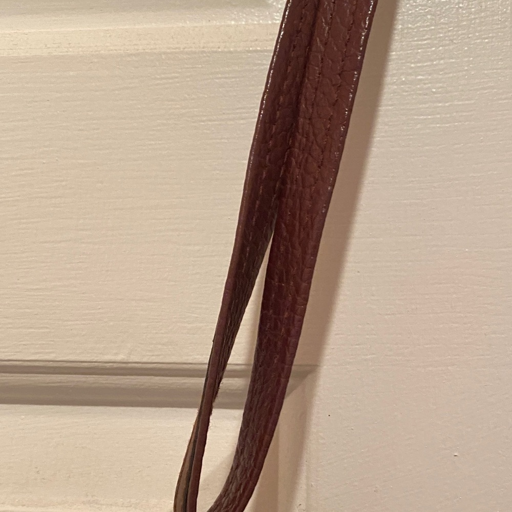 Dooney & Bourke Chestnut Leather Bag with Emblem - Picture 11 of 16